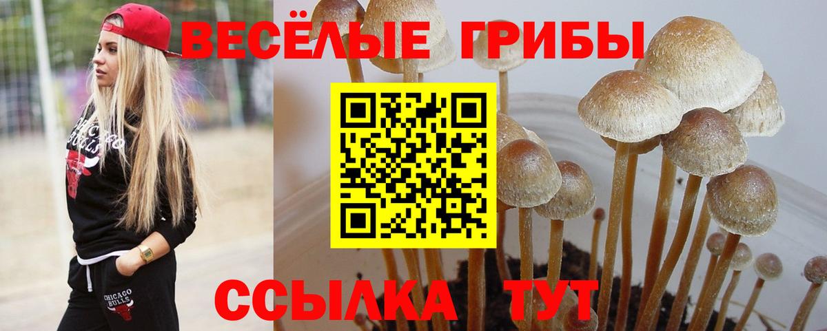 Галлюциногенные грибы Psilocybine cubensis  Галлюциногенные грибы мухоморы  Оренбург  Вход с VPN 