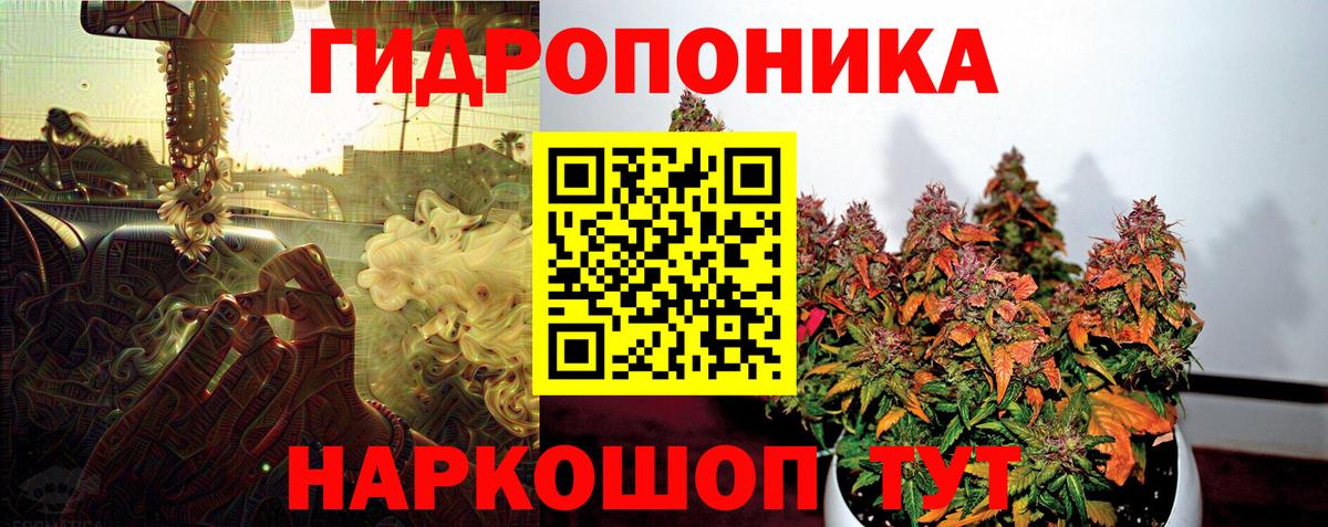 Канабис THC 21%  Шишки марихуана планчик  Вход с VPN  Марихуана OG Kush  Оренбург 